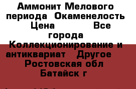 Аммонит Мелового периода. Окаменелость. › Цена ­ 2 800 - Все города Коллекционирование и антиквариат » Другое   . Ростовская обл.,Батайск г.